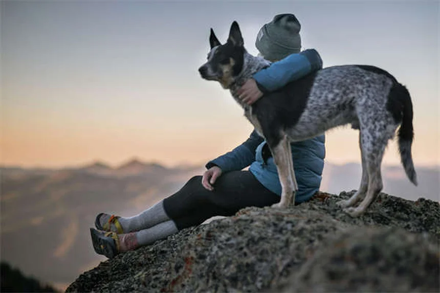 犬の散歩の健康効果10選：実は見落としがちなメリットを愛犬と一緒に
